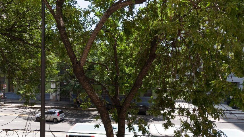 Foto de VENTA- Departamento 1 ambiente en Palermo- APTO FINANCIACION, imagen 4