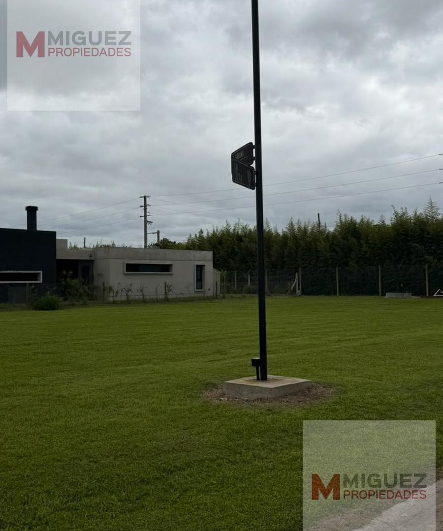 Foto de Terreno en Joaquin Gorina, imagen 3