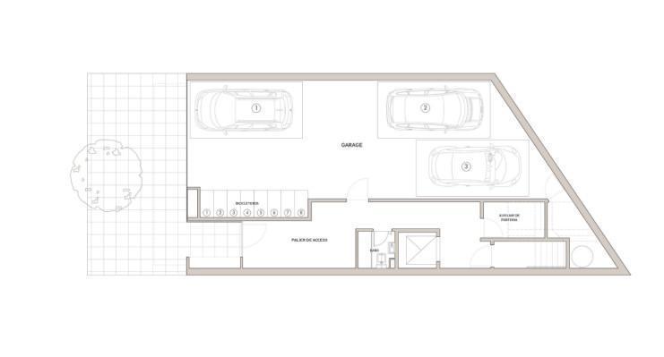 Plano 6