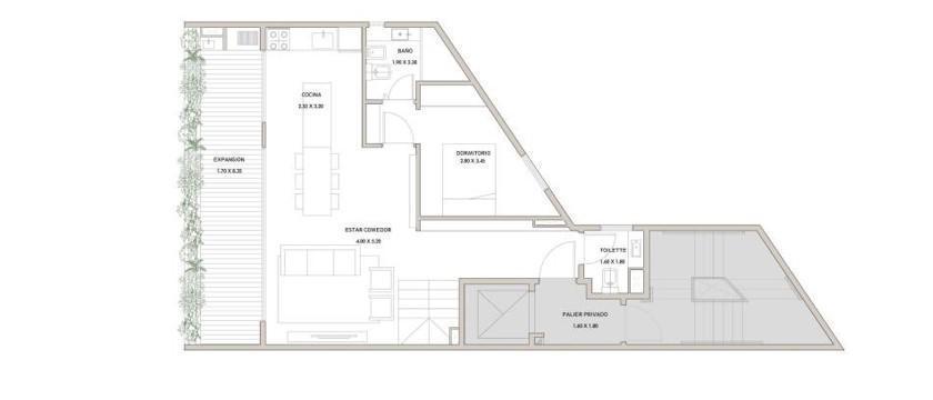 Plano 7