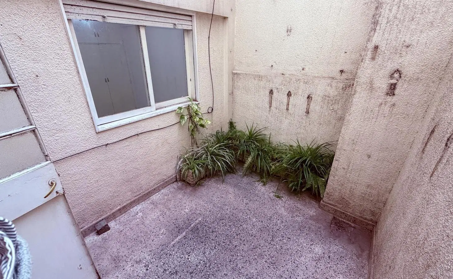 Alquiler Departamento 3 ambientes con patio en Villa Pueyrredon 4