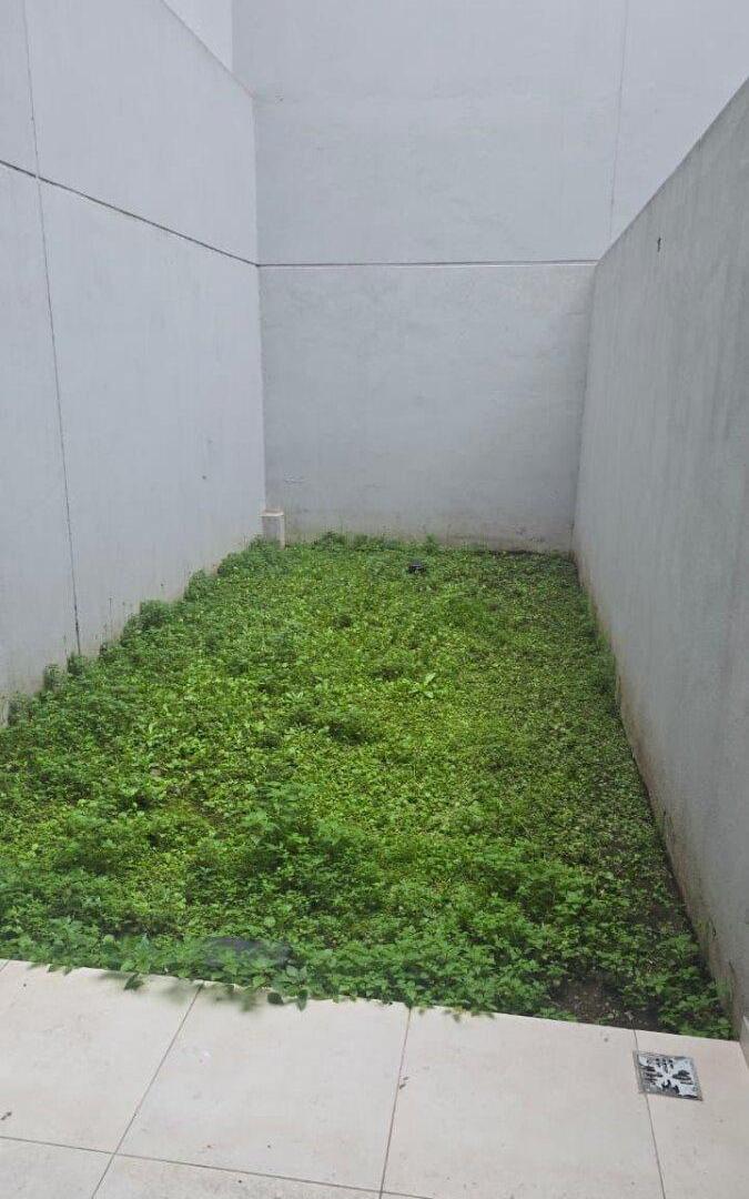Foto de Amplio monoambiente con patio en San Telmo, imagen 4