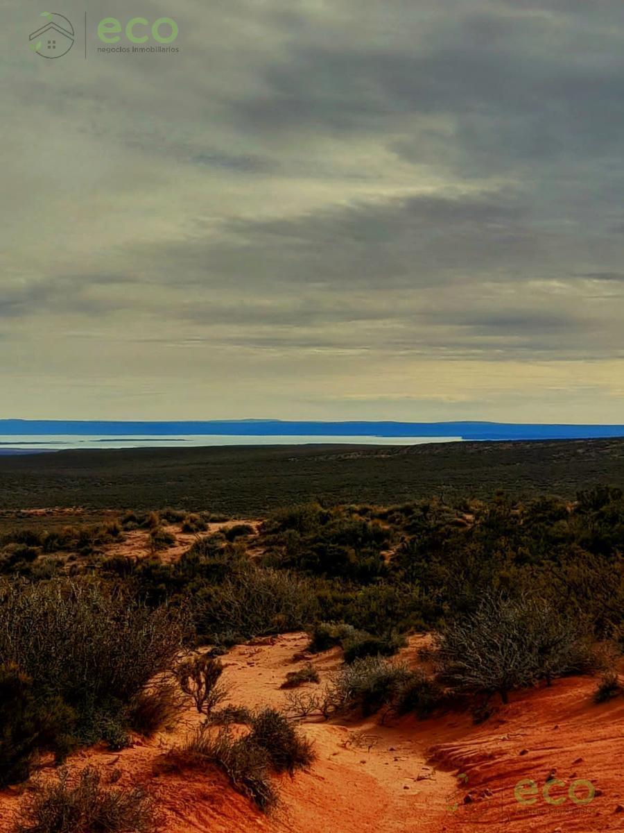 Venta Campo de 6233 Ha Planicie El Jagüelito - El Cuy - Río Negro 5