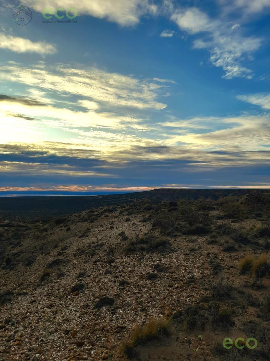 Venta Campo de 6233 Ha Planicie El Jagüelito - El Cuy - Río Negro 4