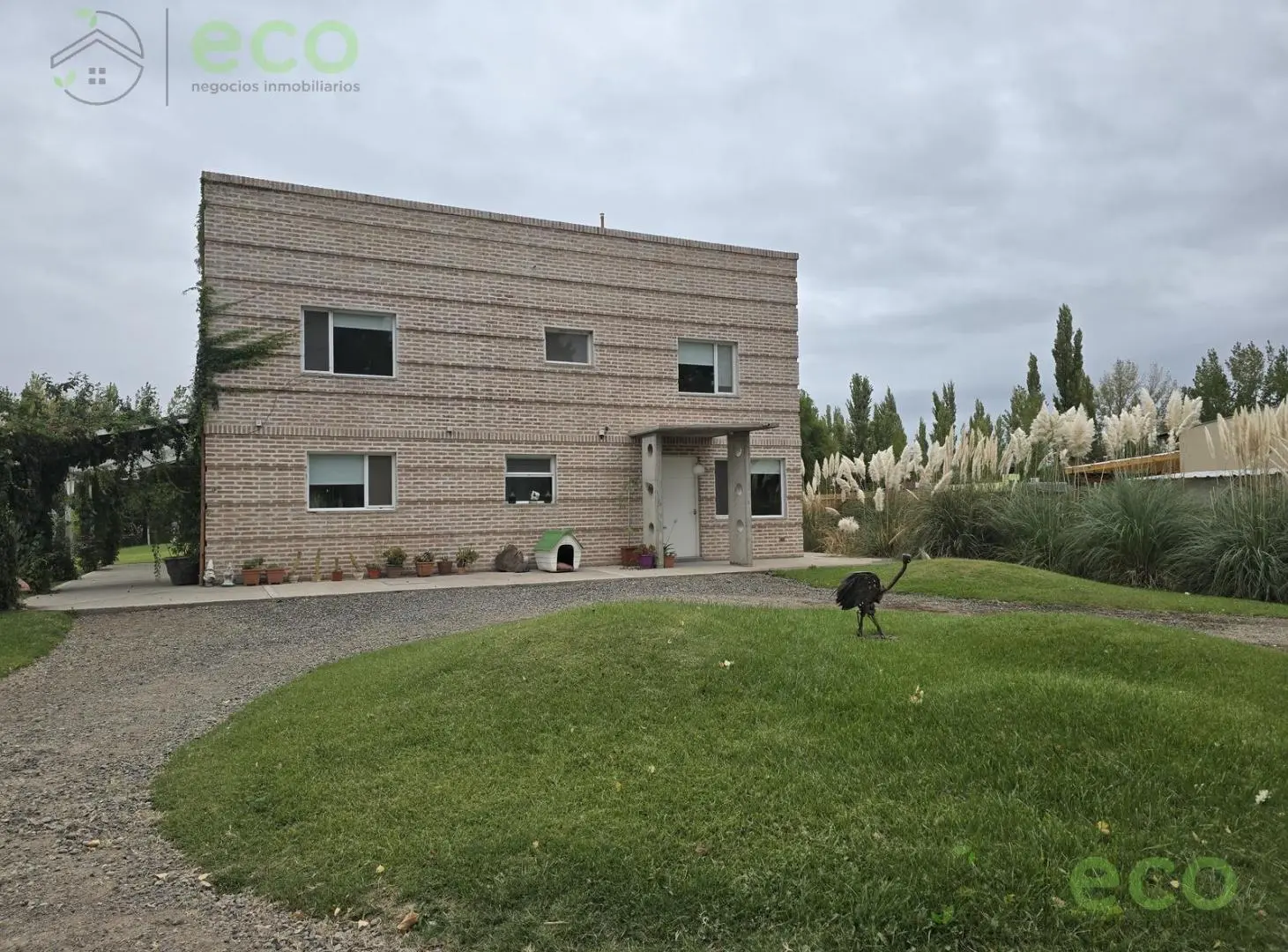 ALQUILER Casa quinta barrio Santa Marta Cipolletti 5