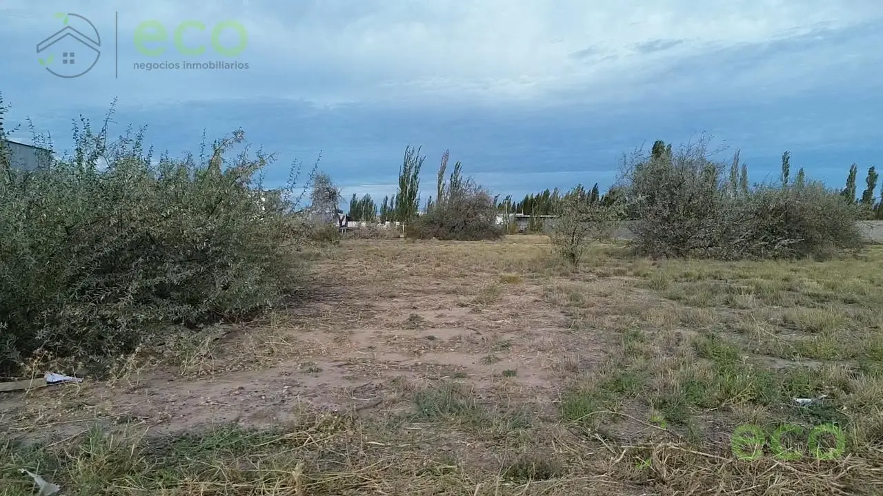 VENTA Terreno Parque Industrial Cipolletti 5