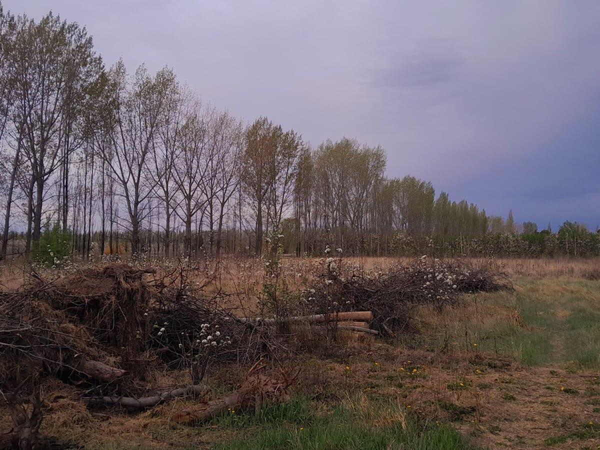 Terreno en Guerrico 3