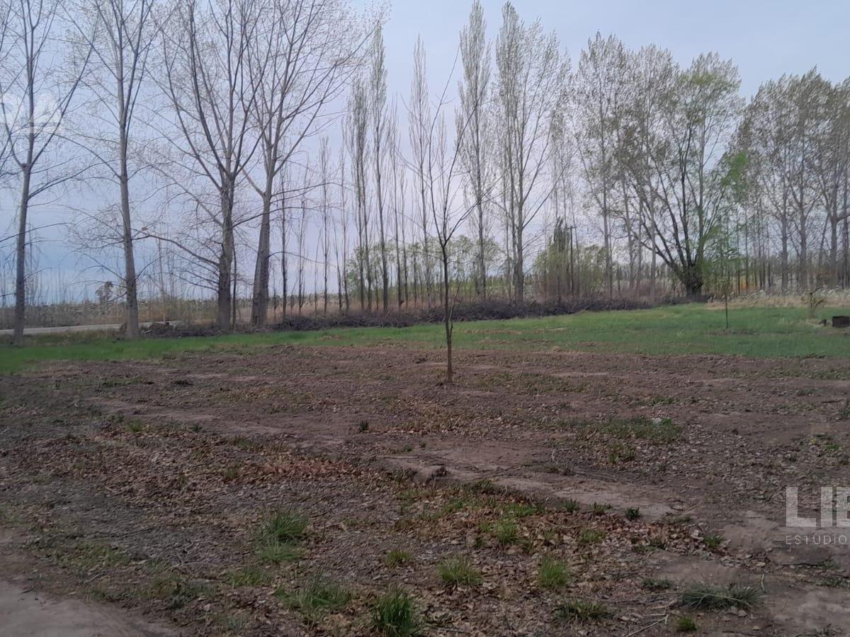 Terreno en Guerrico 4