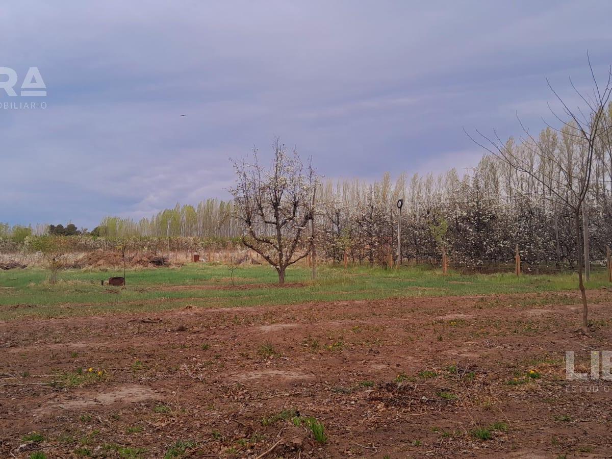 Terreno en Guerrico 2