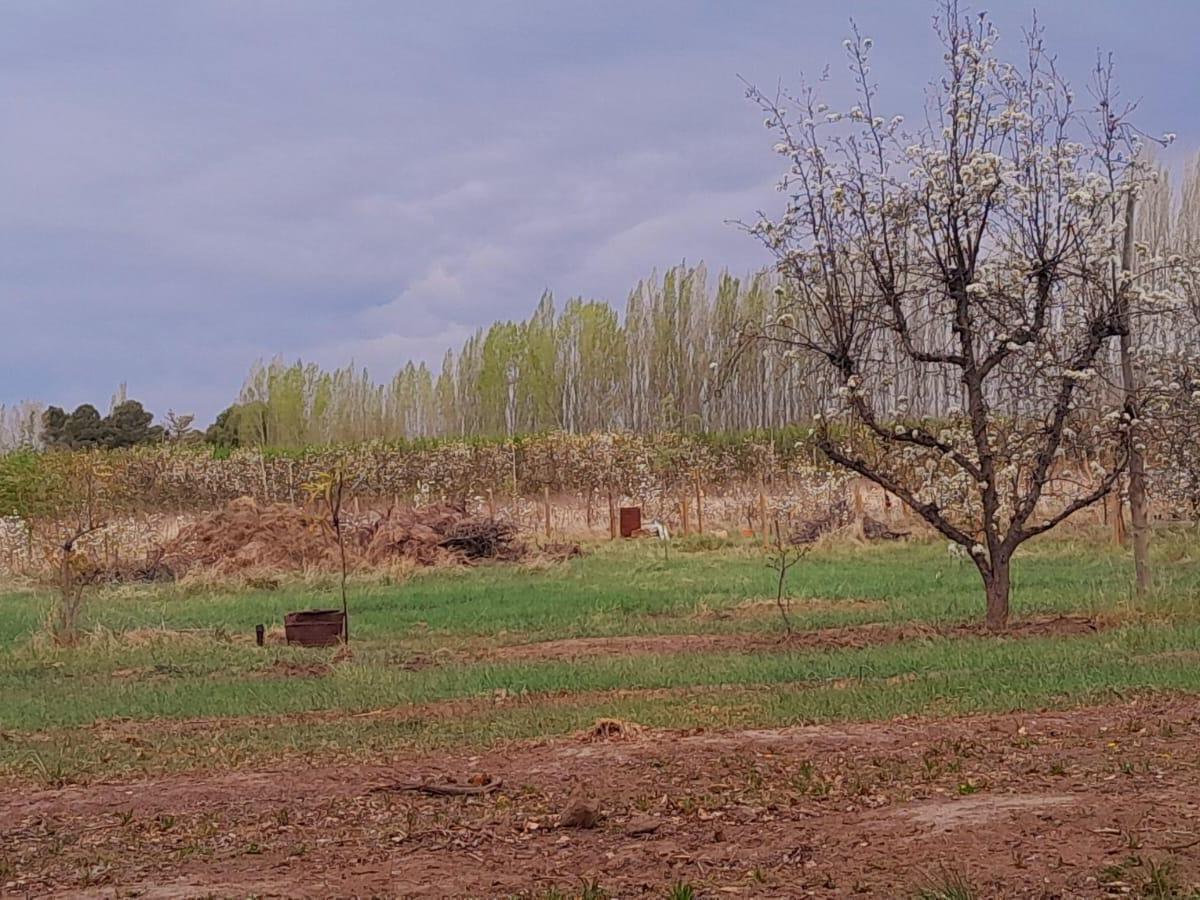 Terreno en Guerrico 5