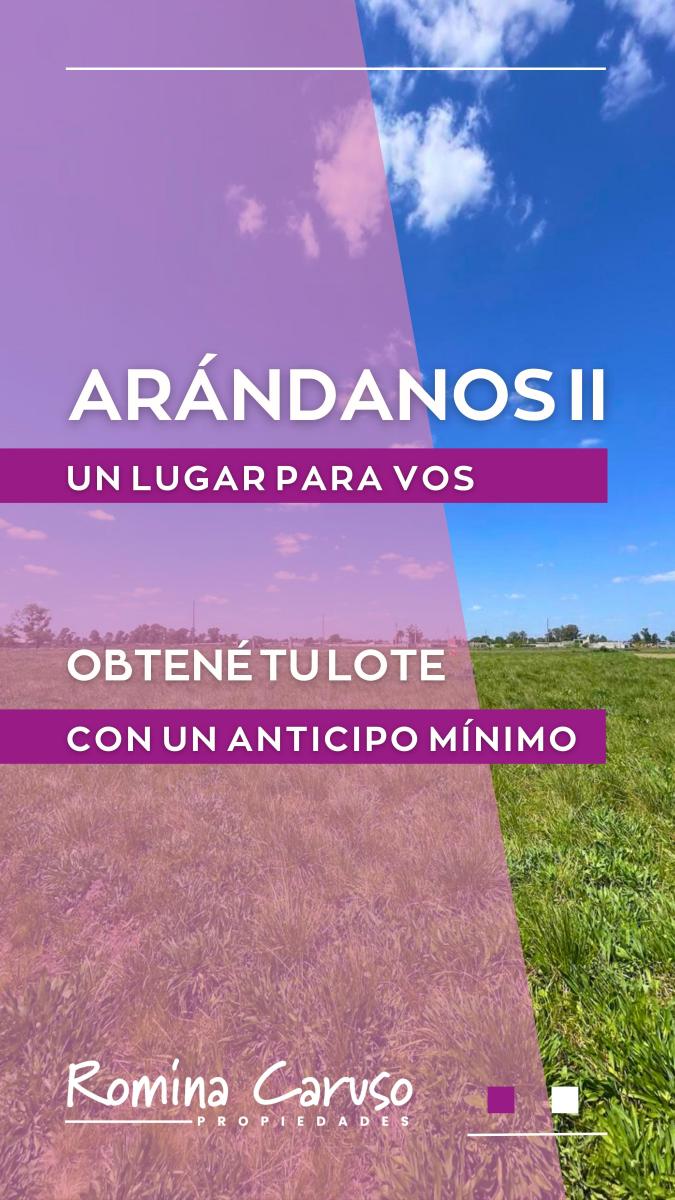 Foto de VENTA DE LOTES ARANDANOS II - LA PRADERA, imagen 3