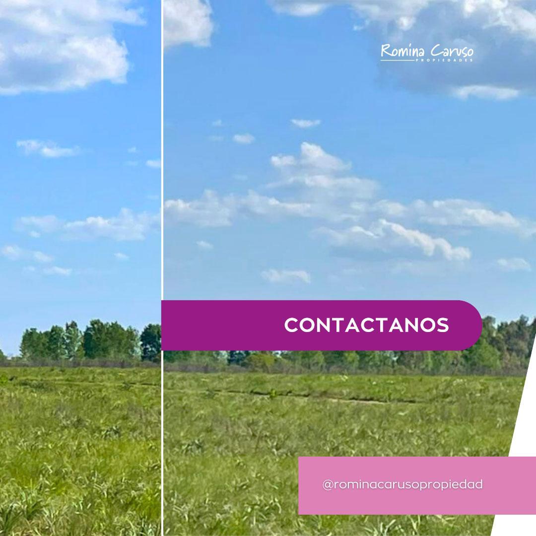 Foto de MARCOS PAZ VENTA DE LOTES ARANDANOS IV - PASEO DEL SOL, imagen 1