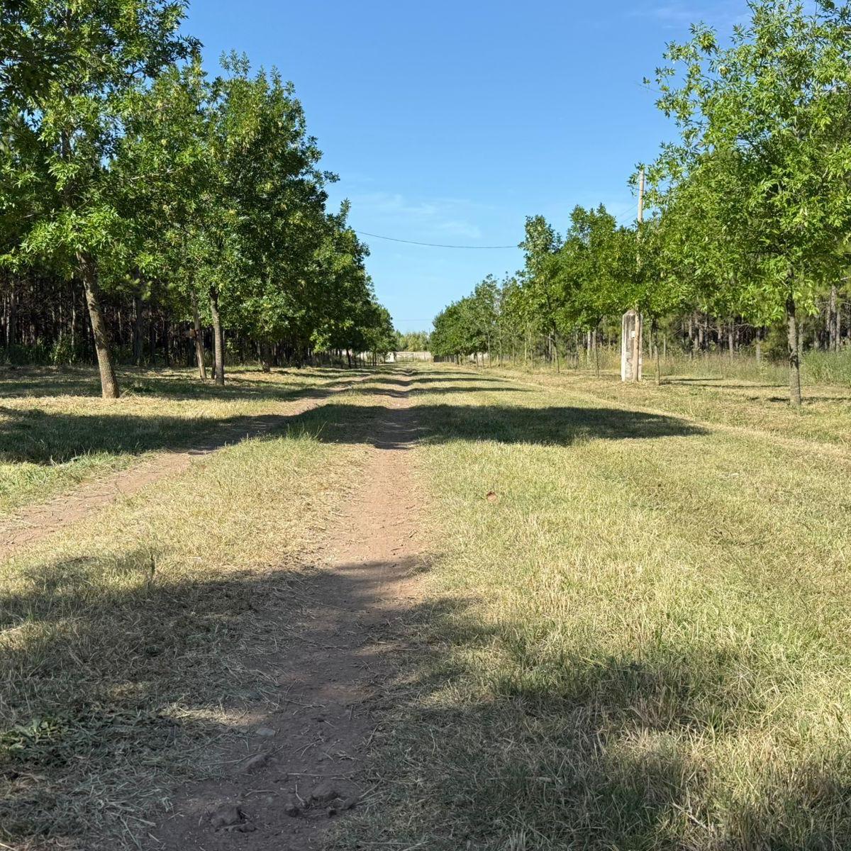 Lotes en Marcos Paz - Village Park 4