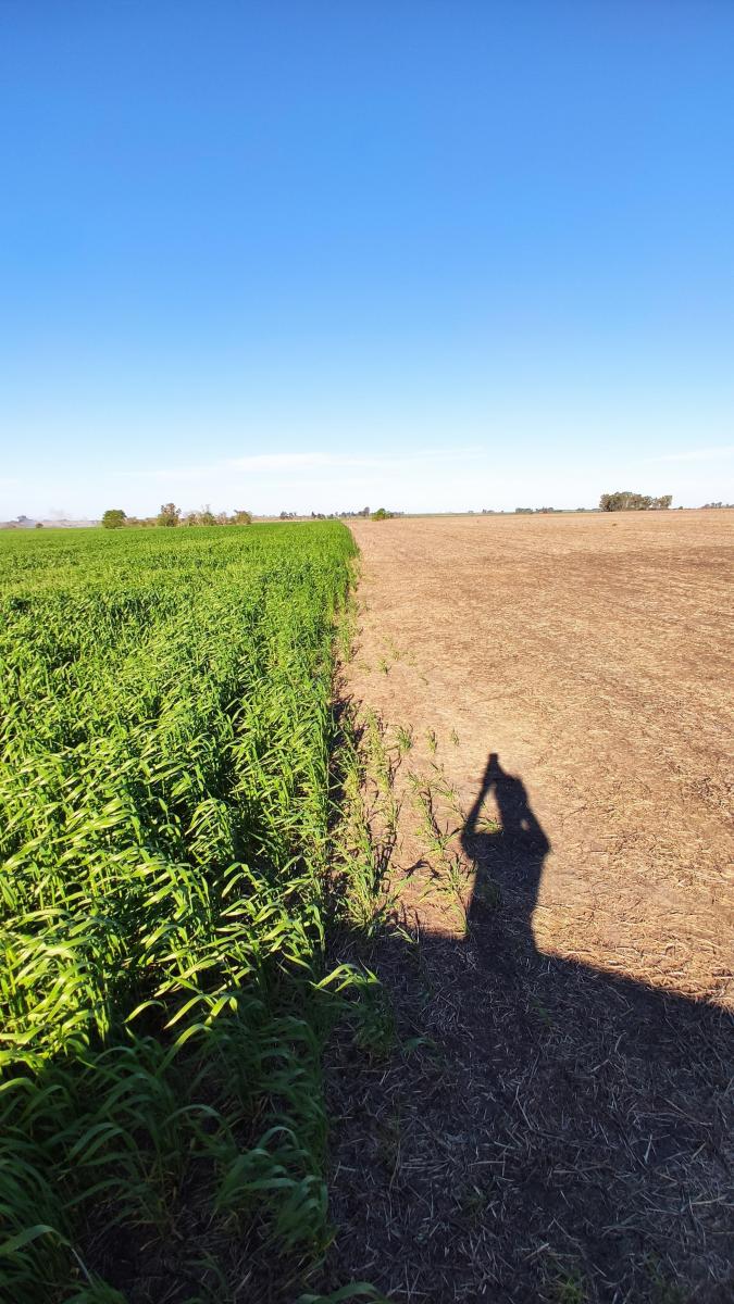 130 Agrícolas Gualeguaychú 1