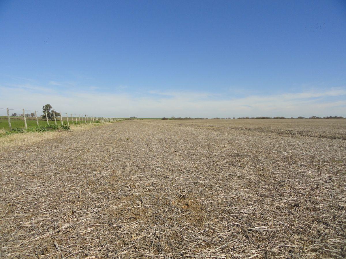 Foto de Campo de 90 ha en venta en Gualeguaychú, sobre ruta, imagen 1