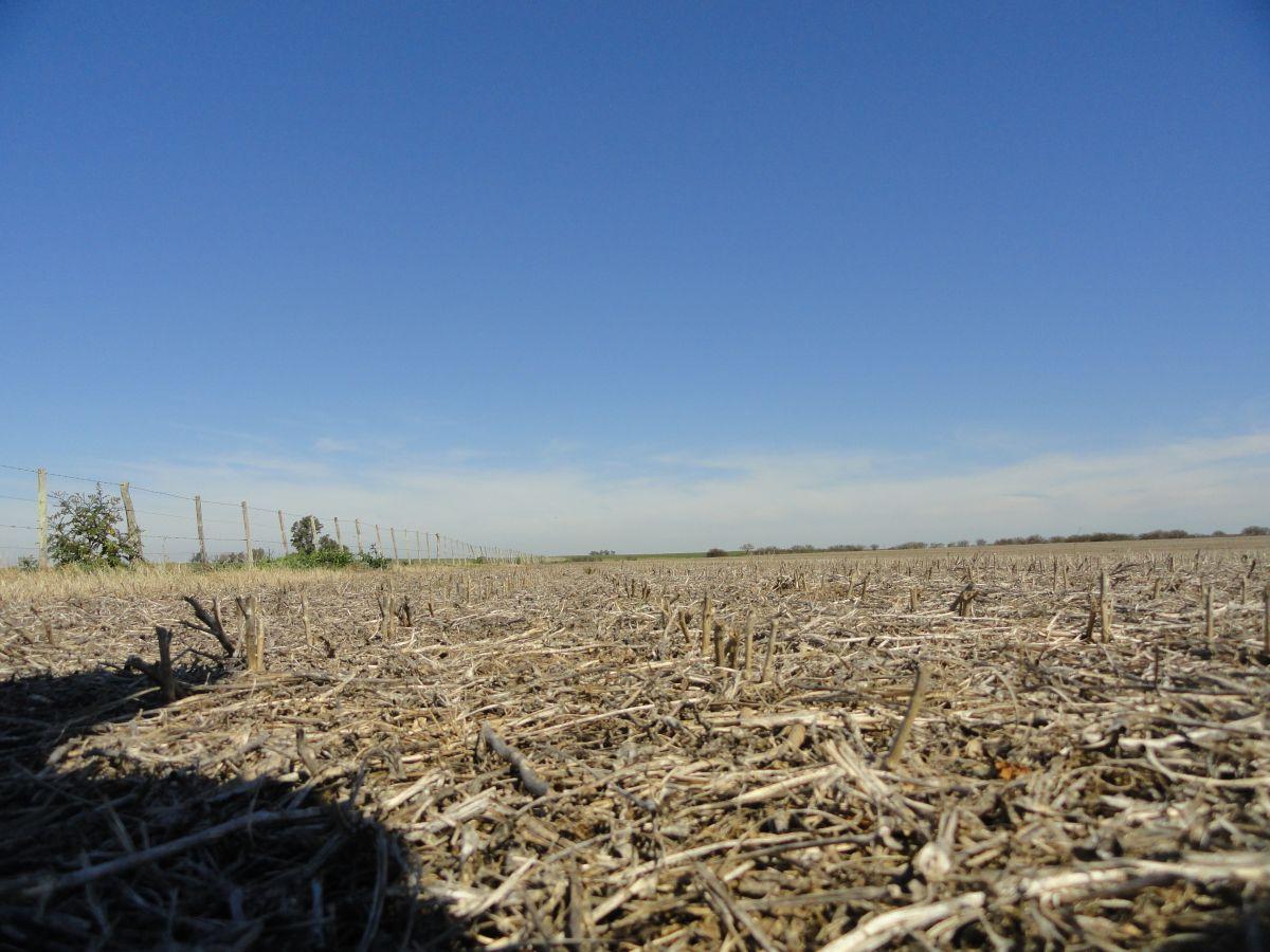 Foto de Campo de 90 ha en venta en Gualeguaychú, sobre ruta, imagen 4