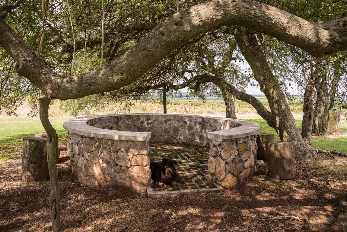 FINCA TURISTICA Y AGROINDUSTRIAL  EN VENTA  OPORTUNIDAD UNICA EN  CARMELO, URUGUAY 2