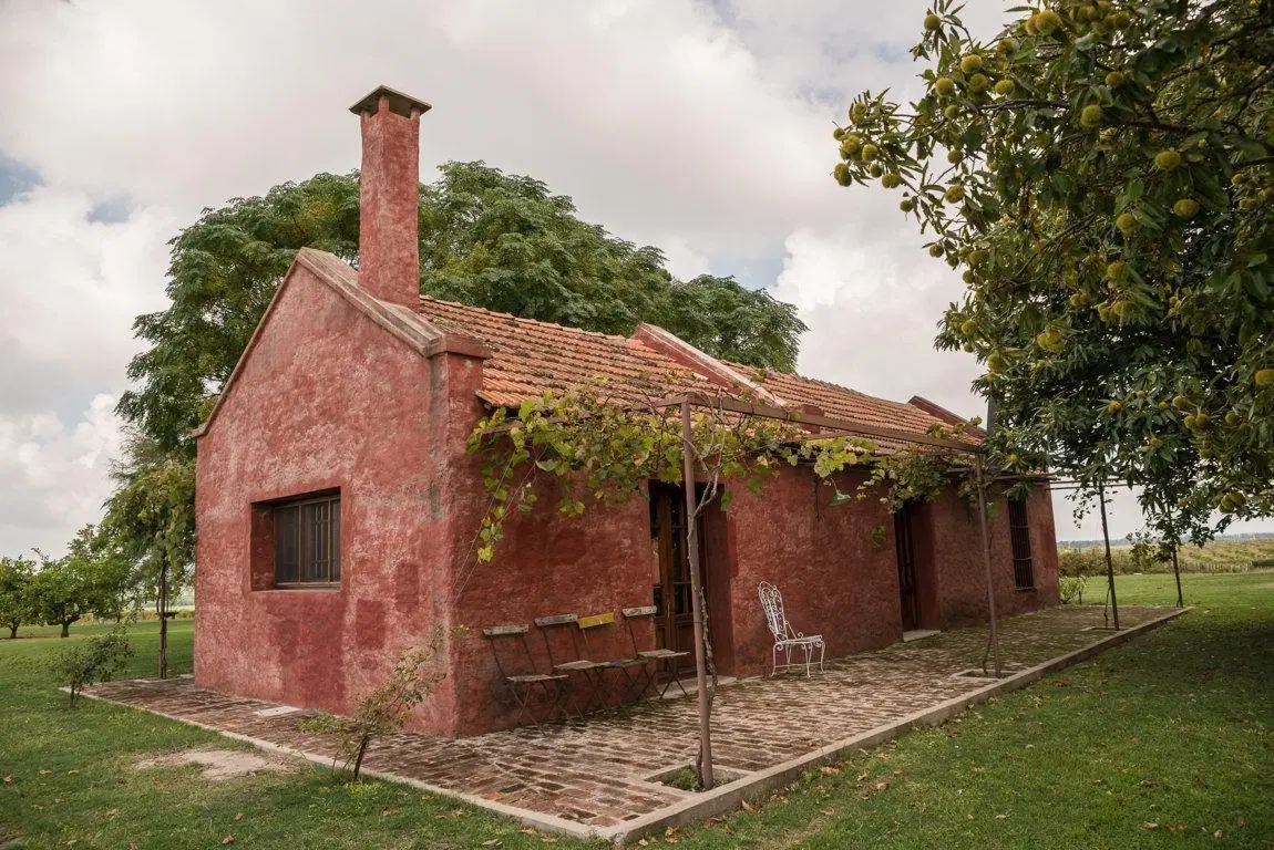 FINCA TURISTICA Y AGROINDUSTRIAL  EN VENTA  OPORTUNIDAD UNICA EN  CARMELO, URUGUAY 4