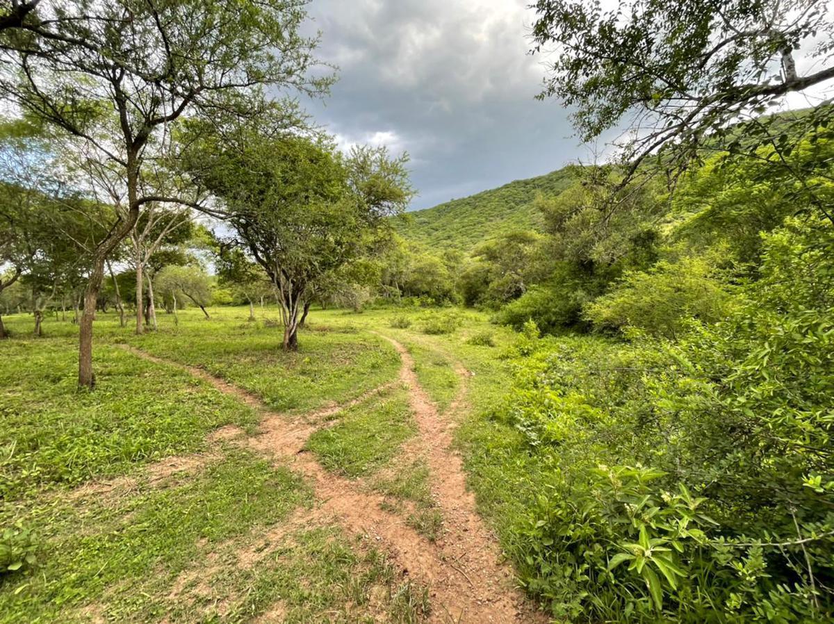 Campo en Venta - Capital - Salta 4