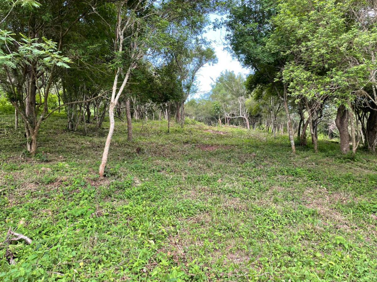 Campo en Venta - Capital - Salta 4