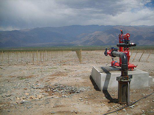 Campo Apto Para Viñedo en Venta - Tolombón, Salta 5