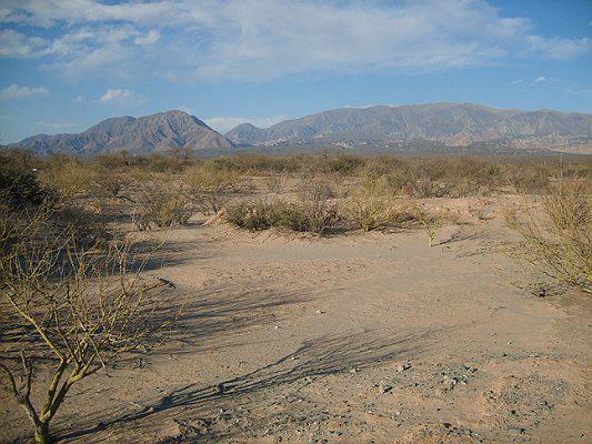 Campo Apto Para Viñedo en Venta - Tolombón, Salta 3