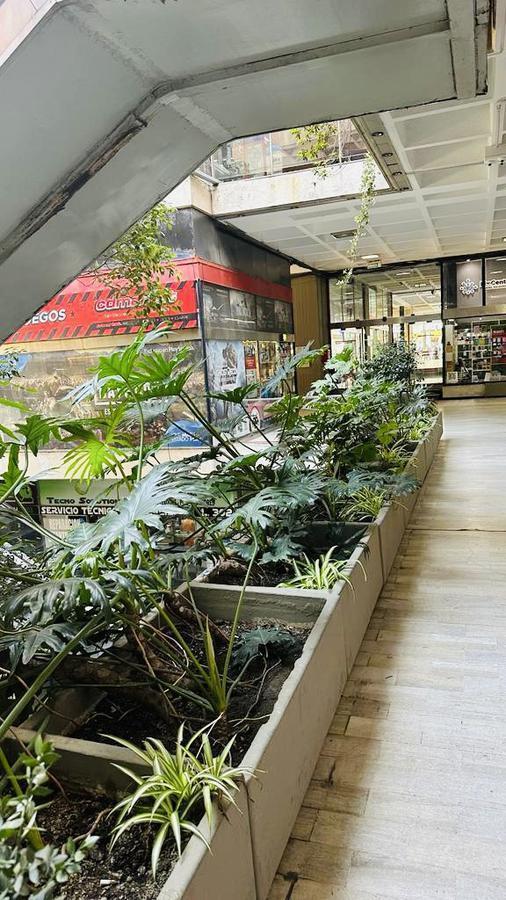 Oportunidad-Local en Alquiler- Galeria jardin- Microcentro