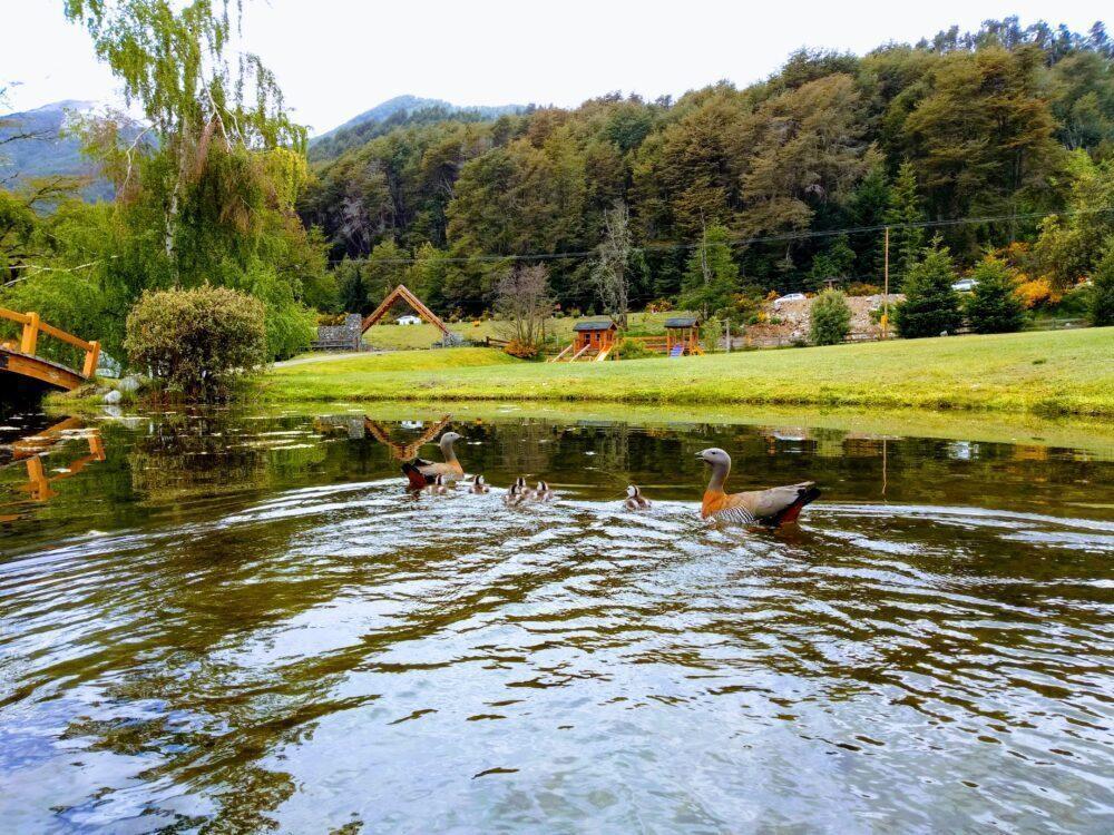 Complejo Turístico en Villa La Angostura 5