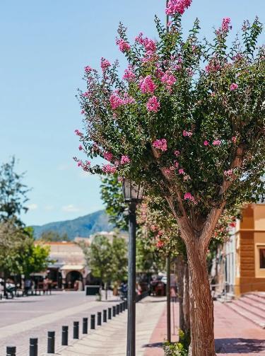 Venta de Terreno Comercial en Principal Esquina de Cafayate, Salta 4