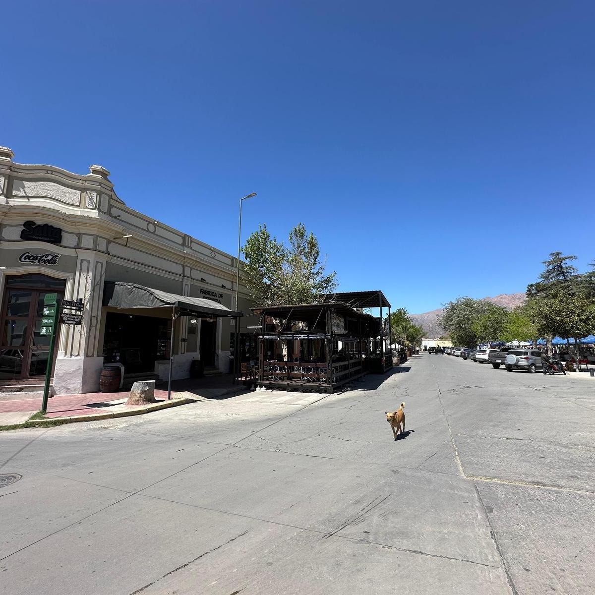 Venta de Terreno Comercial en Principal Esquina de Cafayate, Salta 5