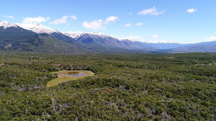 92 Ha Trevelin - Chubut - Pn Los Alerces 5
