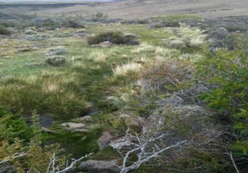 25.000 Has Campo Ganadero “sierra Nevada” en Venta - Rio Chico, Santa Cruz 4