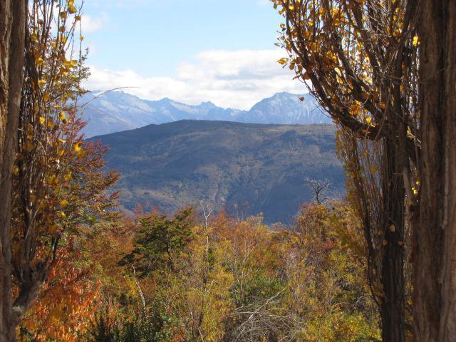 Campo "Las Cascadas" en venta - 376 has. - Cholila - Chubut