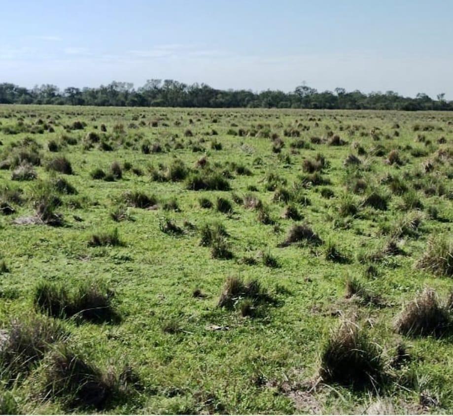 602 Ha con Costa Rio Parana - Ideal Desarrollo - Corrientes 5