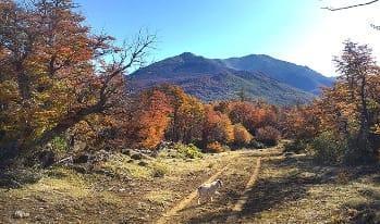 92 Ha Trevelin - Chubut - Pn Los Alerces 1