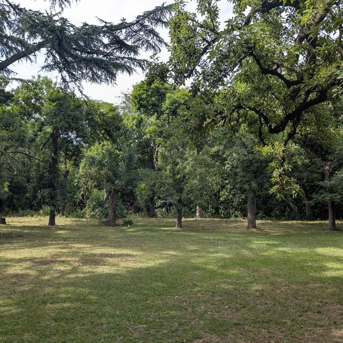 Quinta en Venta - 450 m² Construidos - Moreno 2