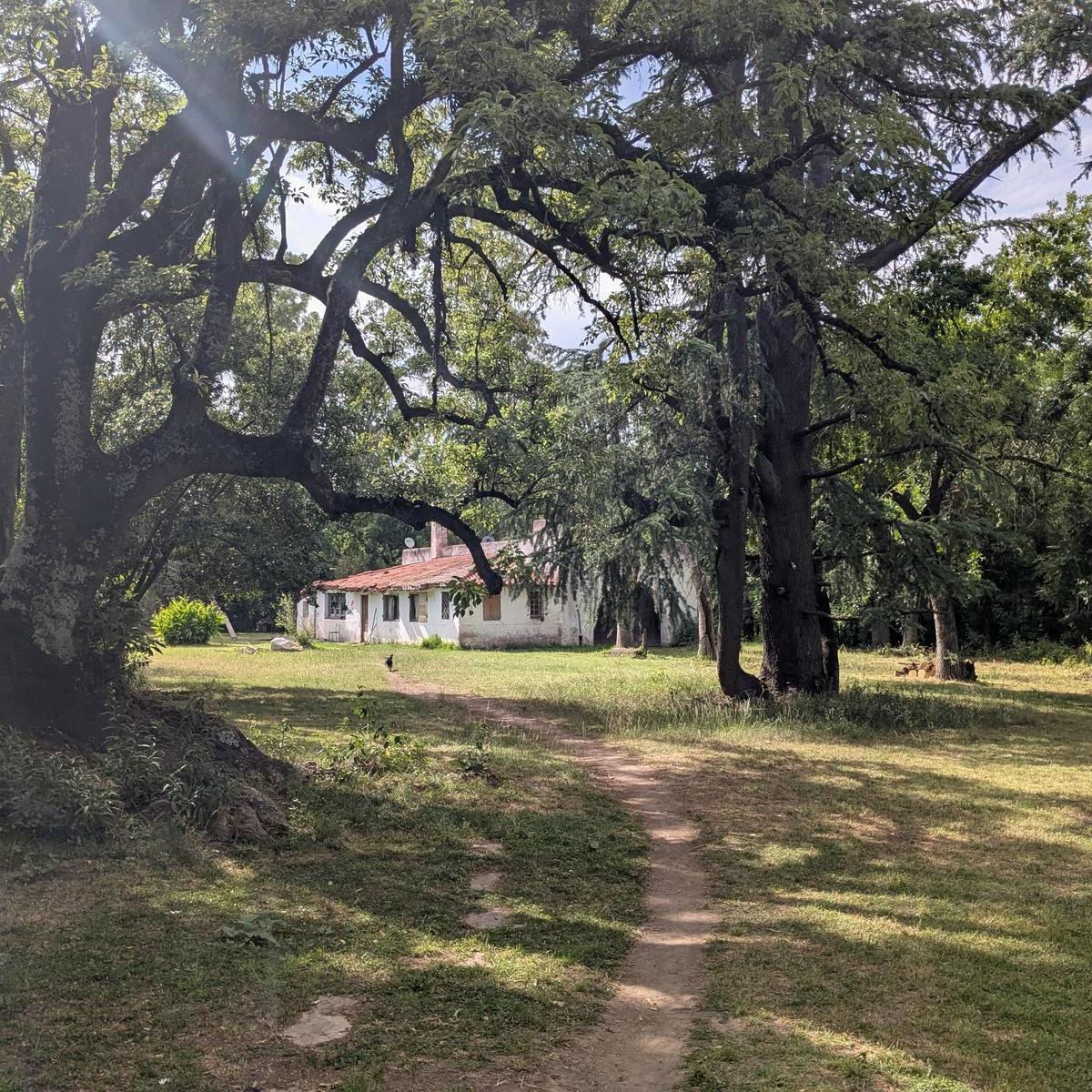Quinta en Venta - 450 m² Construidos - Moreno 3