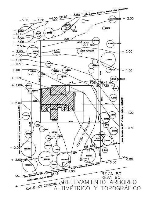 Plano 8