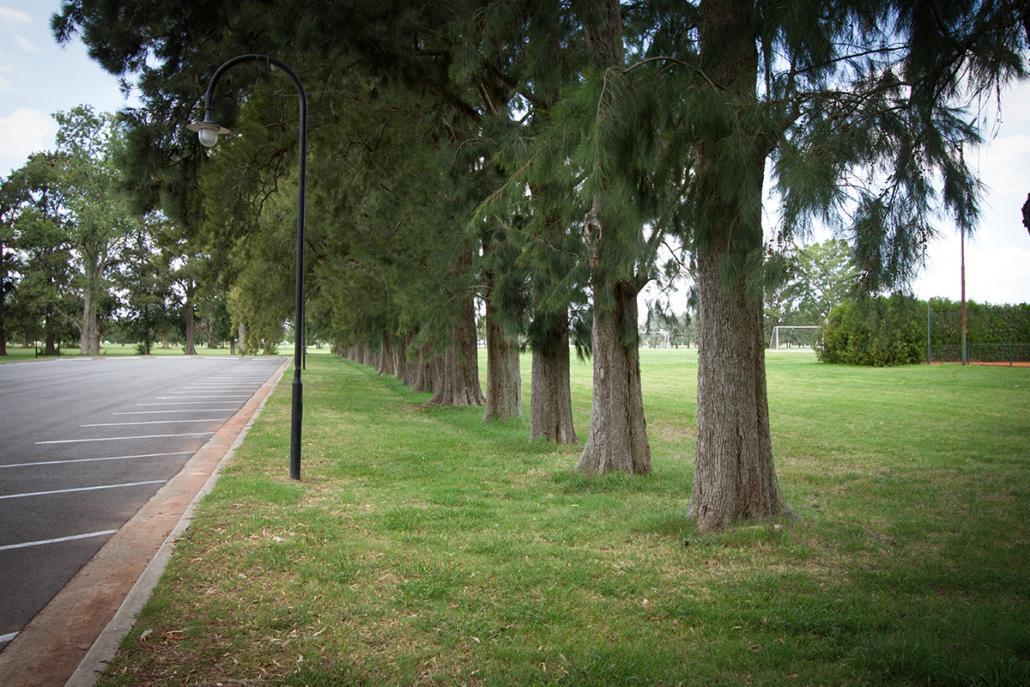 Retasado Lote en Area 60, La Victoria Polo Club. 1.500 m². Ubicación Inmejorable. 4