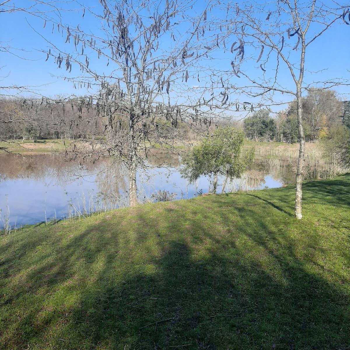 Terreno en Venta - El Cazador, 4 ha para subdividir y lotear.