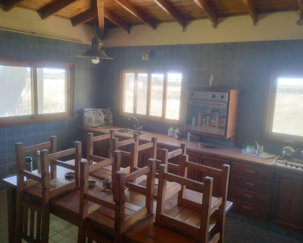 Foto de Campo en Venta - SALADILLO - 500 Ha., imagen 4