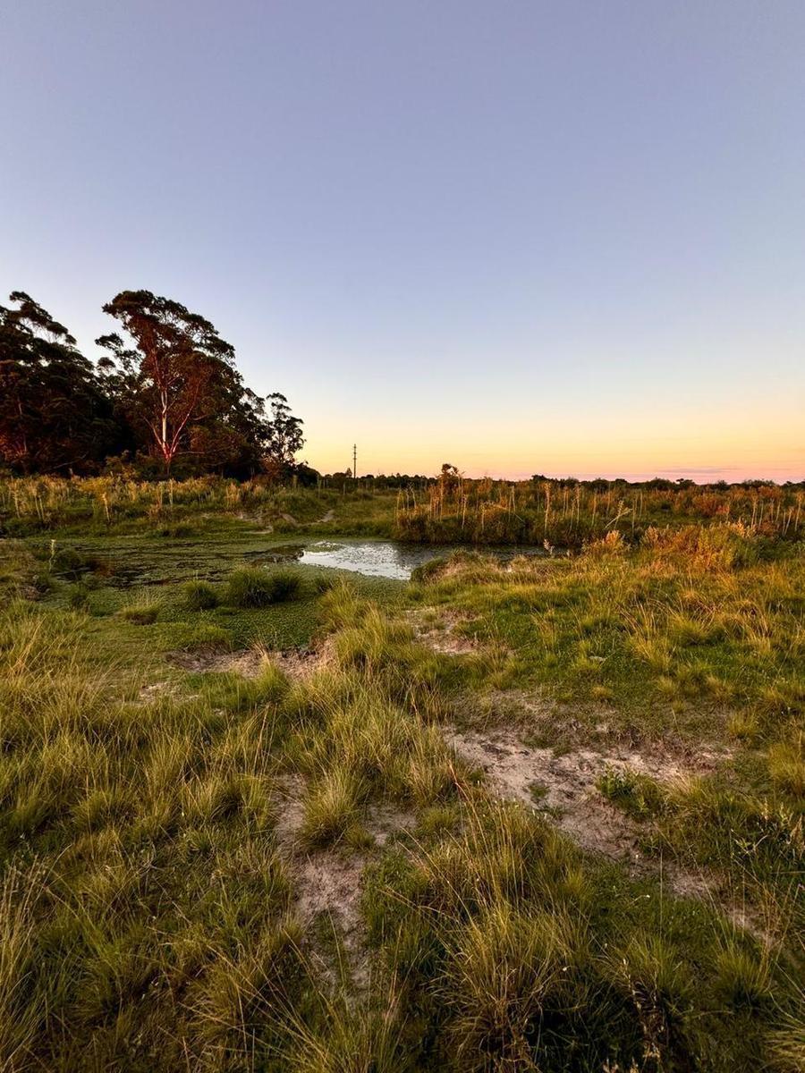 Campo en Saladas, Corrientes 409 Ha Mixto. Sobre Ruta 118 - Venta 4