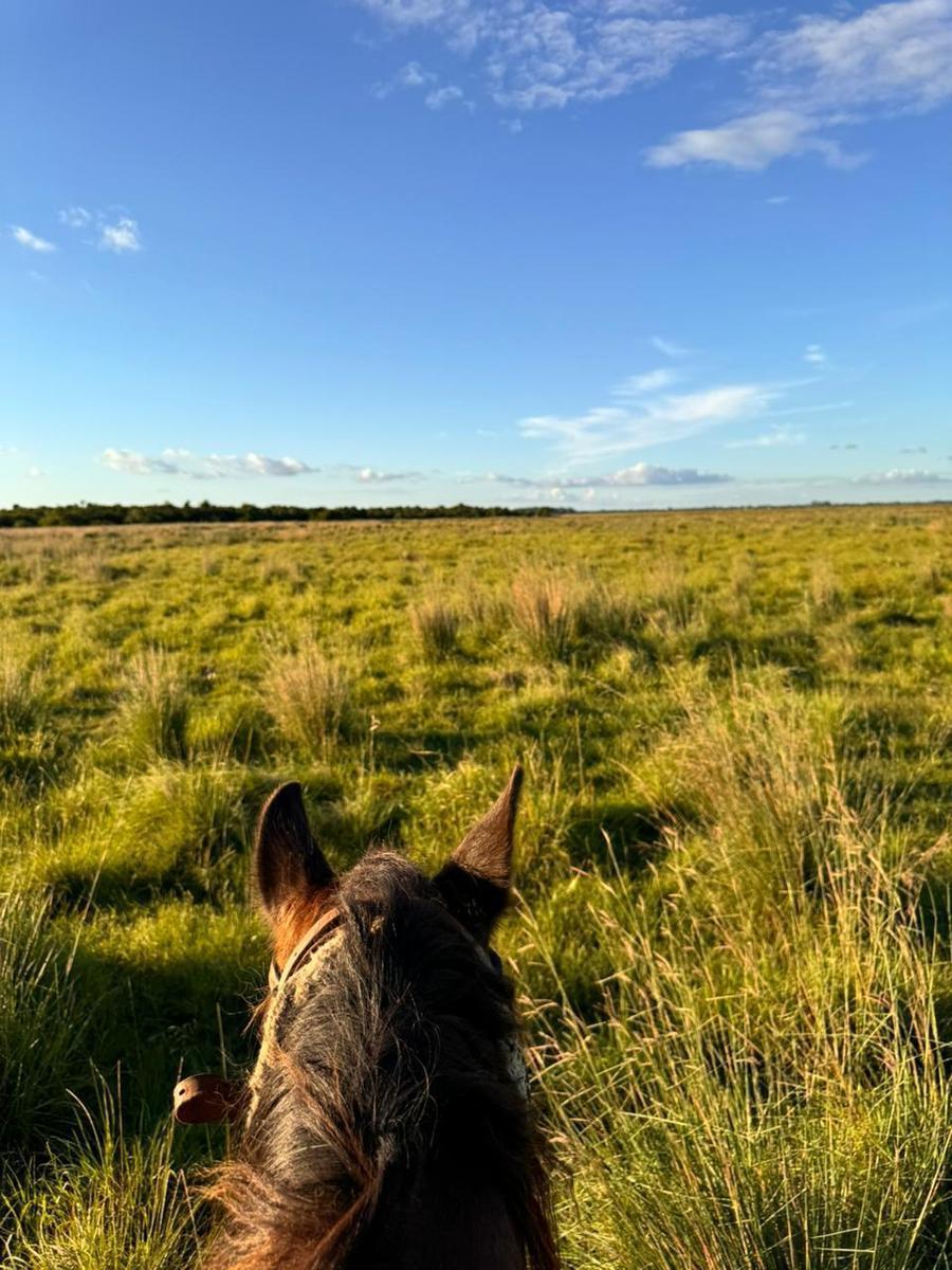 Campo en Saladas, Corrientes 409 Ha Mixto. Sobre Ruta 118 - Venta 5
