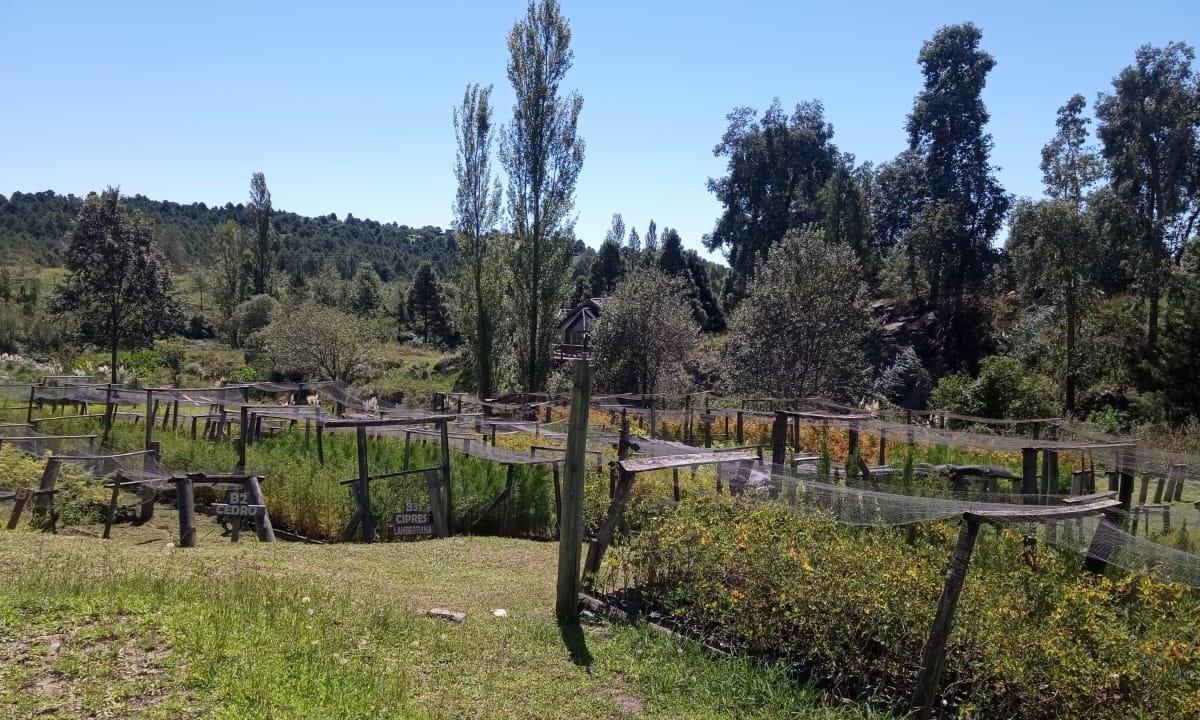 Estancia en San Clemente, Cba, Equipada Para El Turismo. 1