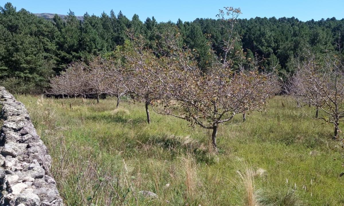 Estancia en San Clemente, Cba, Equipada Para El Turismo. 2