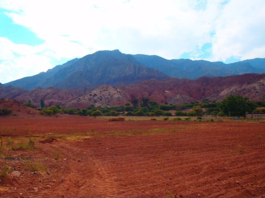 Finca 3