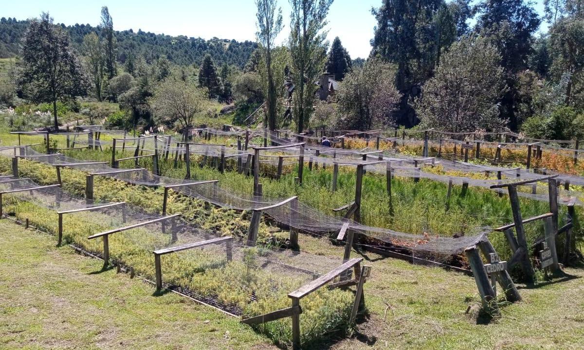 Estancia en San Clemente, Cba, Equipada Para El Turismo. 2