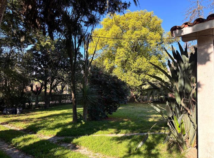 Casa a la venta-Barrio San Ignacio-San Miguel 4