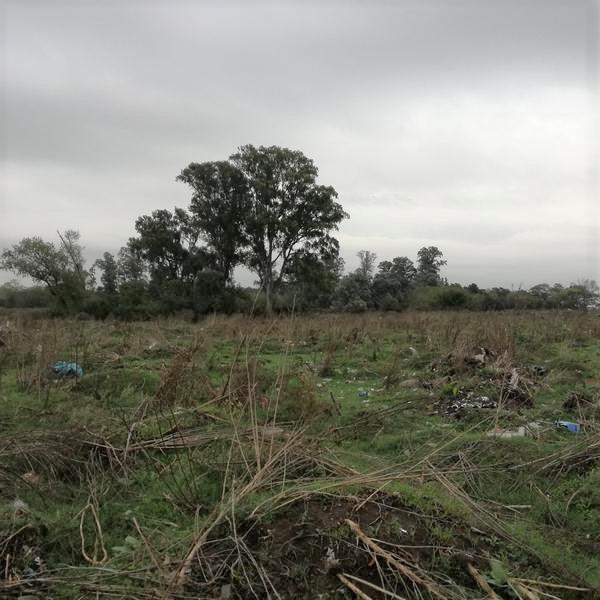 Foto de Terreno de 16 Has en Venta, a 10' de la Estación Pte Derqui, Pilar, imagen 5