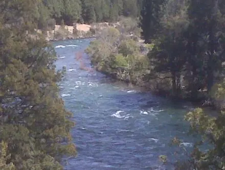 Terreno de 3 hectáreas en Venta con Costa del Rio Caleufu - Neuquen 2